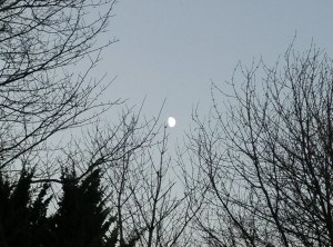 IMG20141231154301408