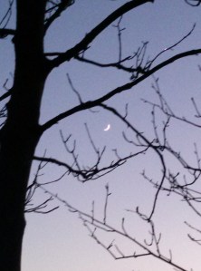 IMG20150421210617967