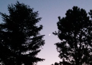 IMG20150421210439098 (3)