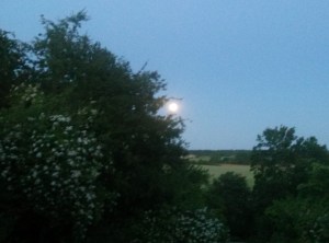 IMG20150702223755088