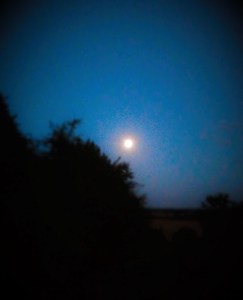 IMG20150828205554601 (2)