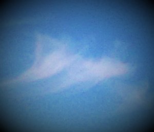 IMG20150822200206605 (2)