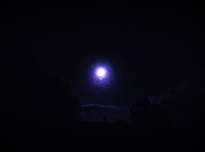 IMG20150926204430727 (2)