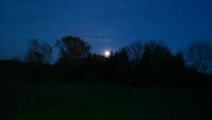 IMG20151026172349503