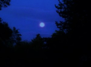 IMG20140711223116732 (2)