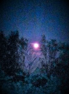 IMG20150504222149755 (2)